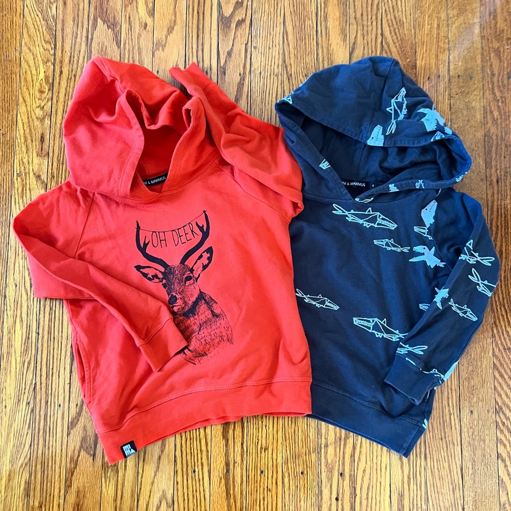Size: 4 // Mini & Maximus Hoodie Bundle